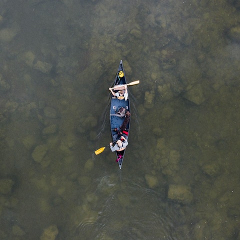 overhead view of two people in a rowboat holding oars